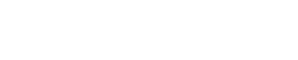 Newcastle-under-Lyme Logo